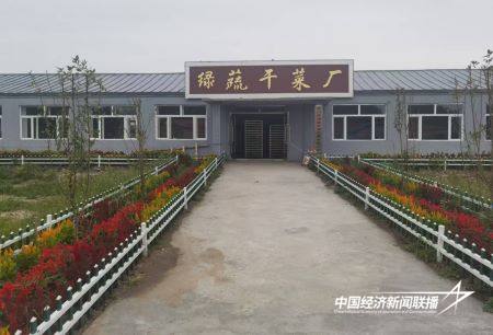 11.jpg?x-oss-process=style/water