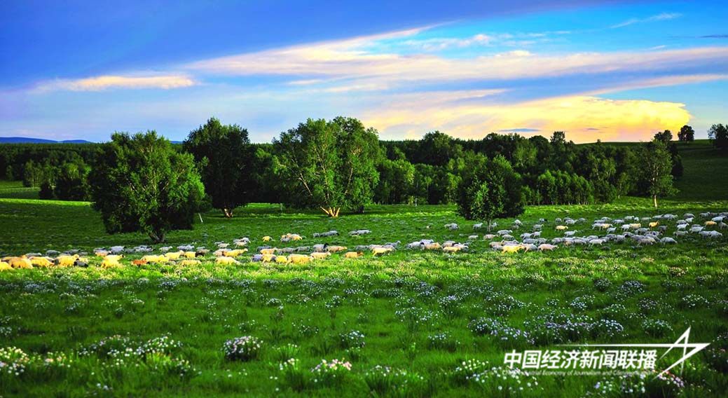 图片1.jpg?x-oss-process=style/water