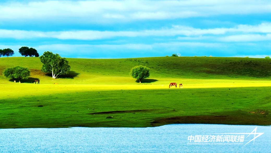 图片2.jpg?x-oss-process=style/water