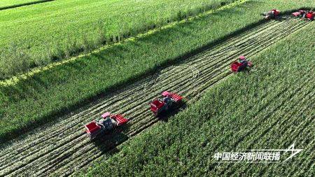 11.jpg?x-oss-process=style/water