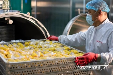 12.jpg?x-oss-process=style/water