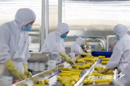 13.jpg?x-oss-process=style/water