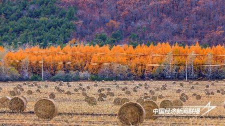 11.jpg?x-oss-process=style/water