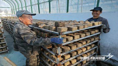 12.jpg?x-oss-process=style/water