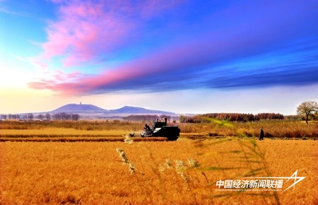 11.jpg?x-oss-process=style/water