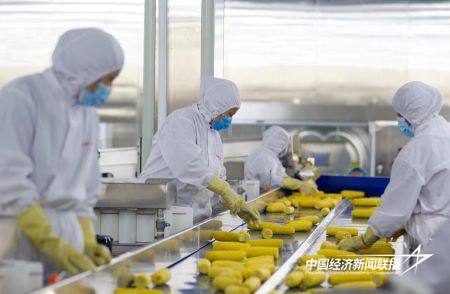 12.jpg?x-oss-process=style/water