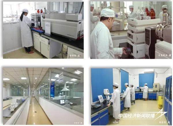 20240927古龙2 (1).jpg?x-oss-process=style/water