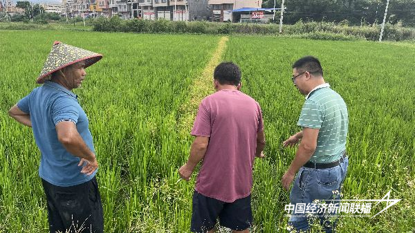 图片2.png?x-oss-process=style/water