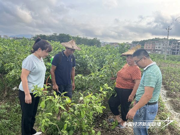 图片3.png?x-oss-process=style/water