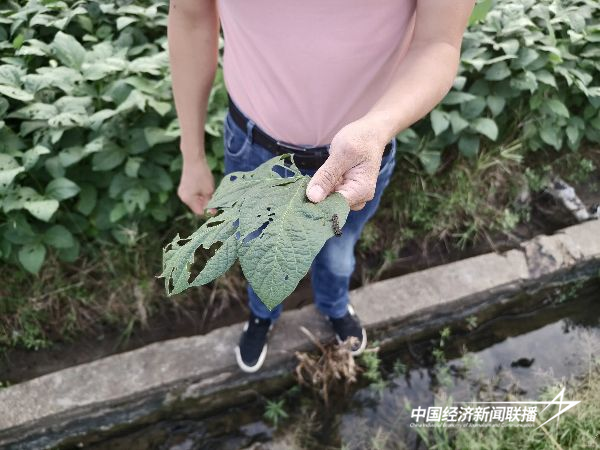 图片4.png?x-oss-process=style/water