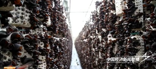 微信图片_20240929160716.jpg?x-oss-process=style/water