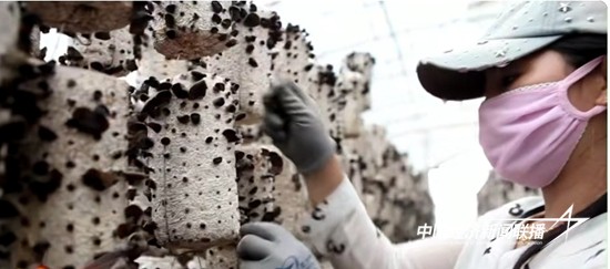 微信图片_20240929160749.jpg?x-oss-process=style/water