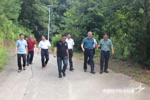 20240930  安溪金谷：“政协委员+林长”共护“森林绿”3.jpg?x-oss-process=style/water