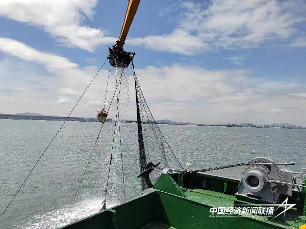 20241008 厦门市海洋与渔业综合执法支队:开展错时执法显成效 一举查扣涉渔违法船舶2.jpg?x-oss-process=style/water