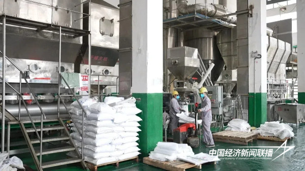 20241008上杭3 (1).jpg?x-oss-process=style/water