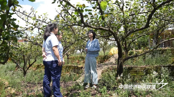 20241008上杭6 (1).jpg?x-oss-process=style/water