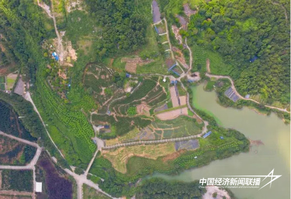 20241010 乡村产业与人才“1+N”共享、共创、共赢的耦合模式4.jpg?x-oss-process=style/water