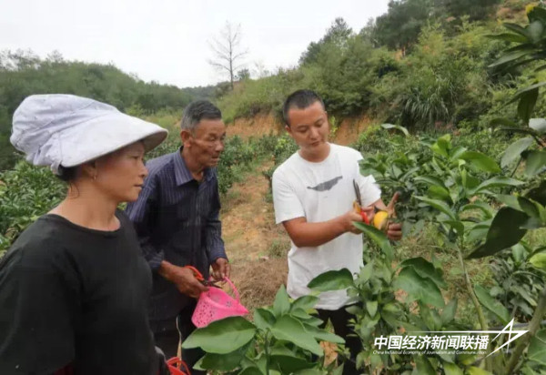 20241010 乡村产业与人才“1+N”共享、共创、共赢的耦合模式9.jpg?x-oss-process=style/water