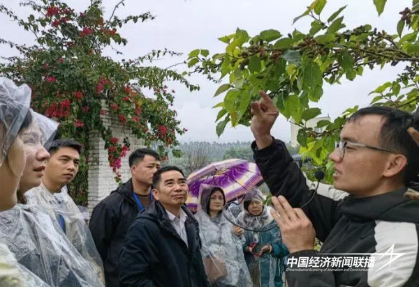 20241010 乡村产业与人才“1+N”共享、共创、共赢的耦合模式12.jpg?x-oss-process=style/water