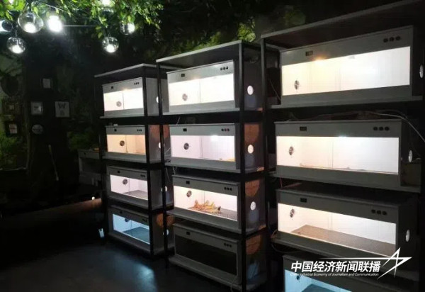 20241010 乡村产业与人才“1+N”共享、共创、共赢的耦合模式14.jpg?x-oss-process=style/water