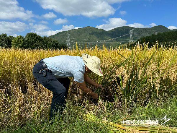 20241012  蕉城区卫健局党支部开展四下基层1.jpg?x-oss-process=style/water