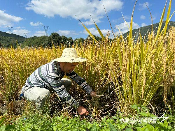 20241012  蕉城区卫健局党支部开展四下基层2.jpg?x-oss-process=style/water