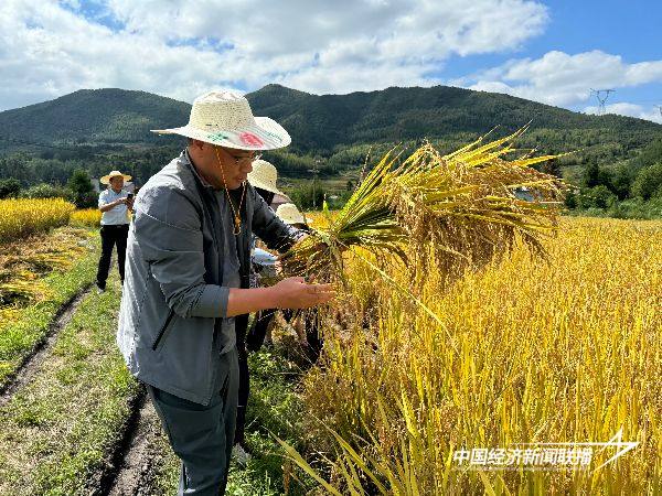 20241012  蕉城区卫健局党支部开展四下基层3.jpg?x-oss-process=style/water