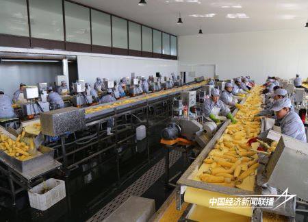 15.jpg?x-oss-process=style/water