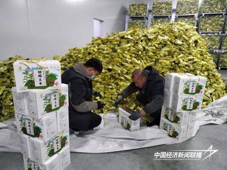 12.jpg?x-oss-process=style/water