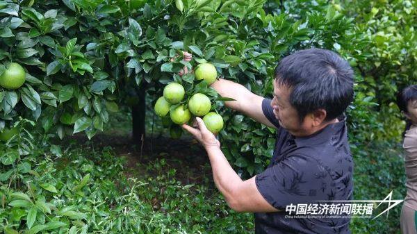 20241014上杭6 (1).jpg?x-oss-process=style/water