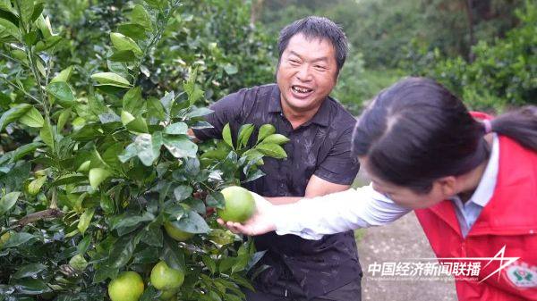 20241014上杭7 (1).jpg?x-oss-process=style/water