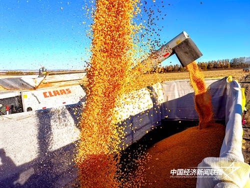 hljrb_2_20200979748ad9-fd3c-4837-91c4-8c3645953e01.jpg?x-oss-process=style/water