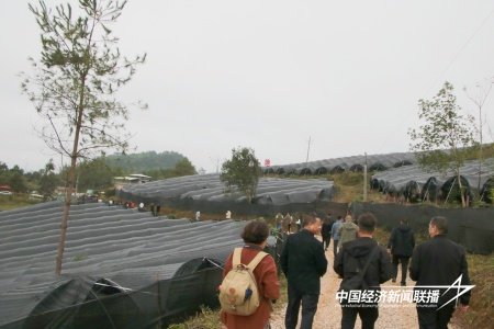 IMG_6934_看图王.jpg?x-oss-process=style/water