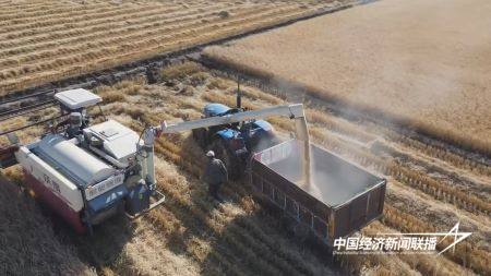 13.jpg?x-oss-process=style/water