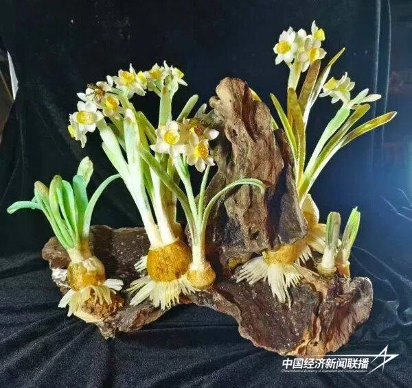 20241023  2024 年岚台非遗艺术品展盛大开幕4.jpg?x-oss-process=style/water