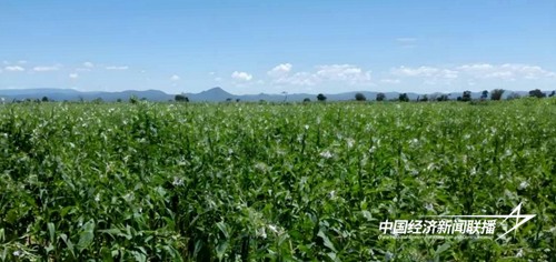 图片8.jpg?x-oss-process=style/water