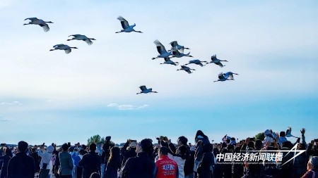 11.jpg?x-oss-process=style/water