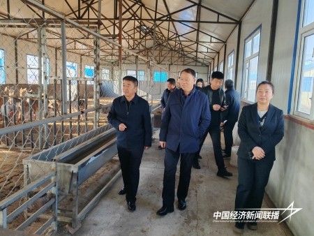 11.jpg?x-oss-process=style/water