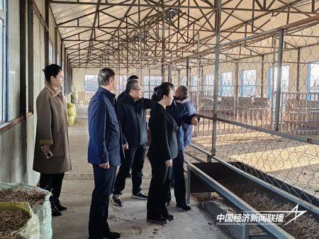 12.jpg?x-oss-process=style/water