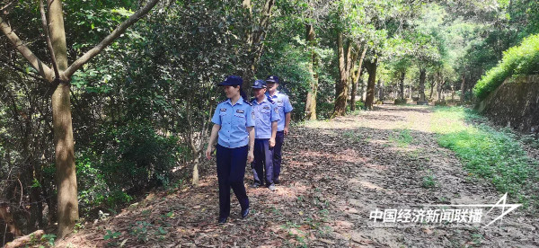 20241025丰田3 (1).jpg?x-oss-process=style/water