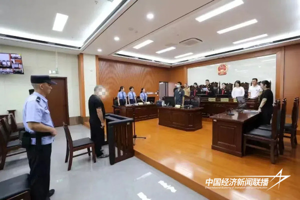 20241023漳浦法院森林2 (1).jpg?x-oss-process=style/water