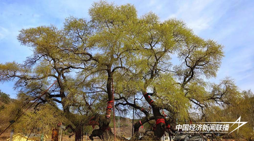 图片3.jpg?x-oss-process=style/water