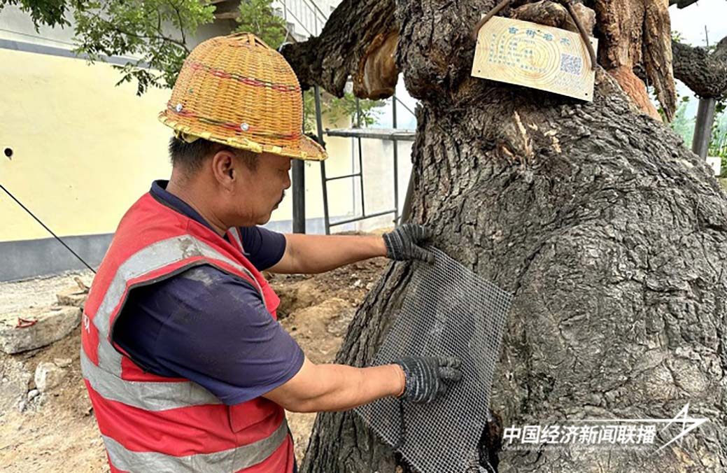 11.jpg?x-oss-process=style/water