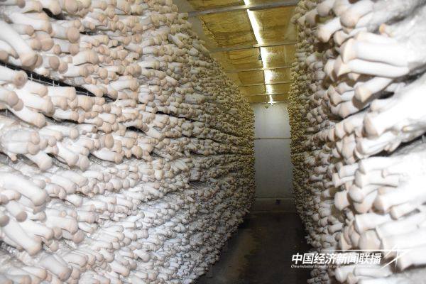 20241028华安2 (1).jpg?x-oss-process=style/water