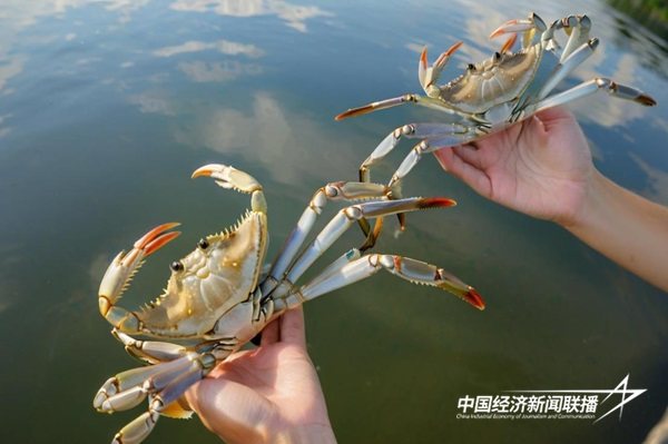 07 - 副本 (2).jpg?x-oss-process=style/water