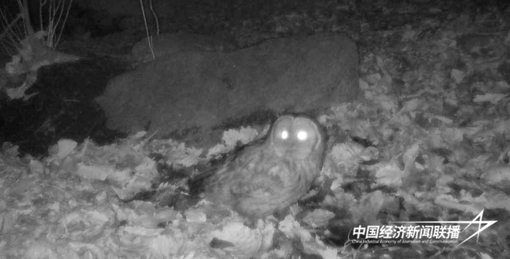 图片1.jpg?x-oss-process=style/water 图片1.jpg?x-oss-process=style/water