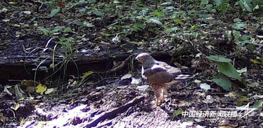 图片2.jpg?x-oss-process=style/water 图片2.jpg?x-oss-process=style/water