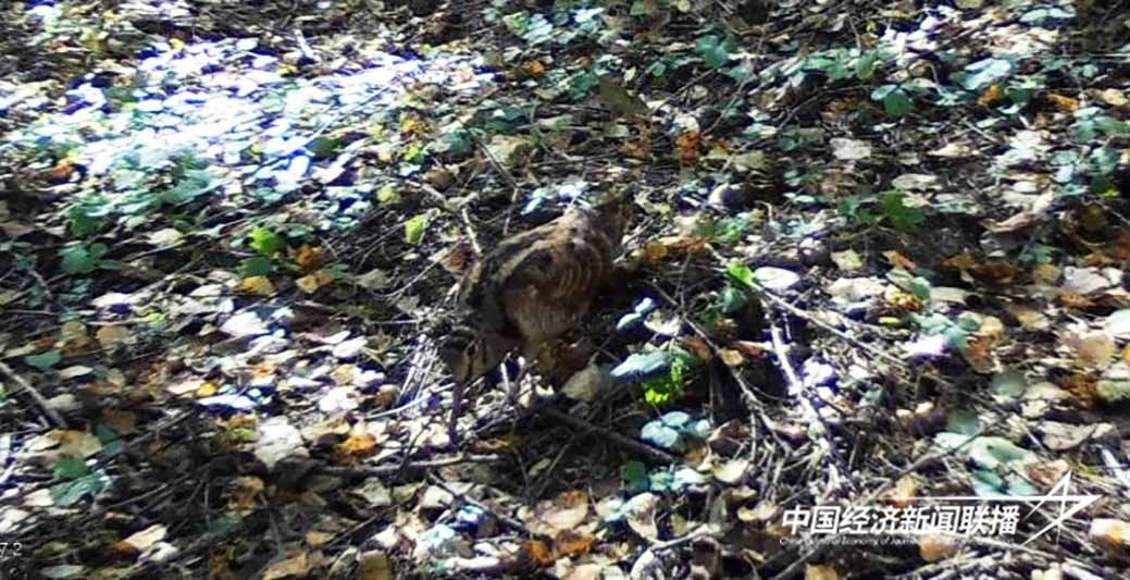 图片4.jpg?x-oss-process=style/water 图片4.jpg?x-oss-process=style/water