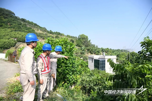 20241031云霄供电1 (1).jpg?x-oss-process=style/water