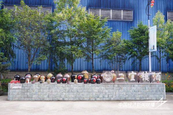 20241101  陈鹤翎：传承匠心酿造 引领品牌发展6.jpg?x-oss-process=style/water